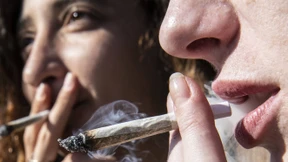 Cannabis trotzt Corona