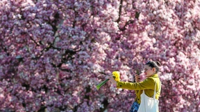 Sonne und wieder deutlich wärmer