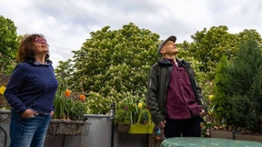 Vogelgezwitscher statt Fluglärm in Frankfurt