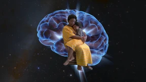 Bilder aus dem Waschmittel-Orakel