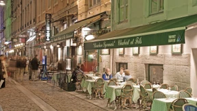 Der sinnliche Sinn des Lebens