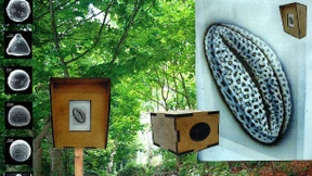 Pilze als das Internet der Natur