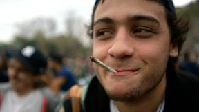 Anbau von Marihuana wird erlaubt