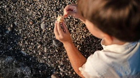 Umstrittene Suche nach den Ursachen für Autismus