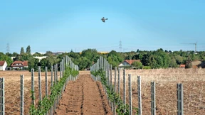 Biotech statt Frischluftschneisen
