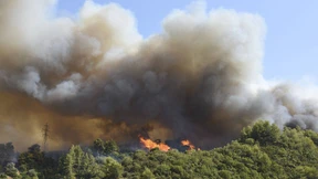 Griechische Feuerwehr kämpft gegen Flammen an