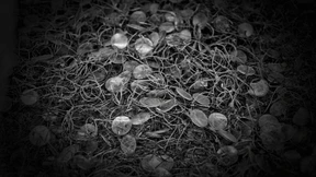 Das Unnennbare benennen