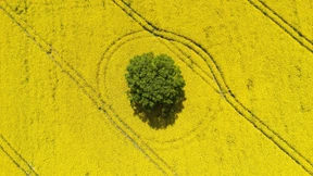 „Ackerland ist eine der sichersten Geldanlagen“