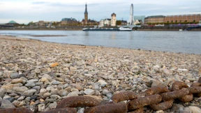 Niedrigwasser macht der Rheinschifffahrt zu schaffen 