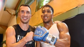 Klitschko sucht Weltmeister zum Kampf