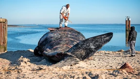 Sie arbeiteten gegen die Zeit