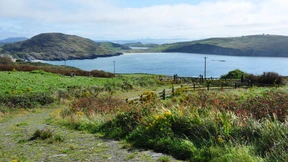 Kosmische Kosmetik, energetisches Obst