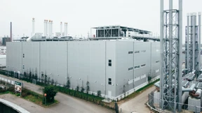 Heute in Rhein-Main: Esel und Elefanten