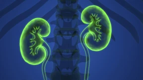 Wie kranke Nieren den Körper belasten