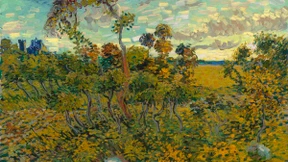 Einen Van Gogh zu Markte tragen 