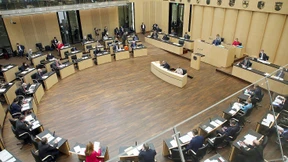 Muss der Bundesrat der Notbremse zustimmen?