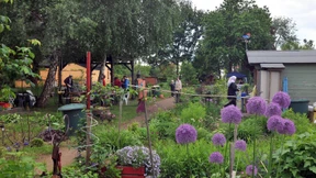 Des Großstadtmenschen Garten