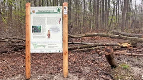 Wissenswertes mit Gimmick für Ungeduldige