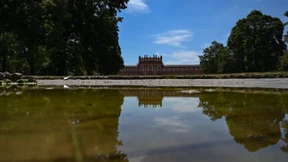 Prozess wegen Mordes an 86 Jahre altem Spaziergänger