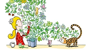 Vitamine für die Seele