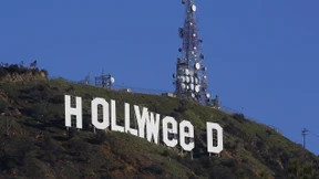 Aus Hollywood wird „Hollyweed“