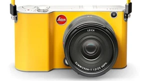 Aus dem Vollen geschnitzt