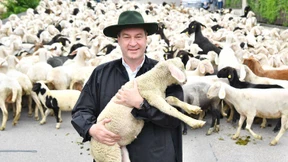 Seid umschlungen, Mond und Schafe