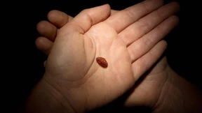 Mal schön unachtsam sein 