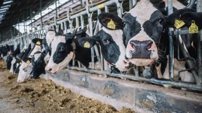 Zerschlägt die EU so nebenbei Edeka und Rewe?