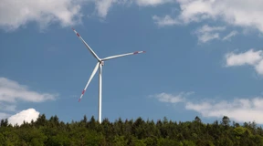 Entega erzielt Rekordgewinn mit grünem Strom