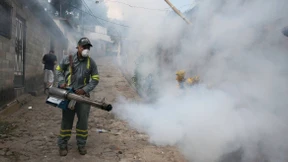 Aktionsplan gegen Ausbreitung des Zika-Virus