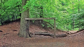 Elf Meter müsst ihr sein