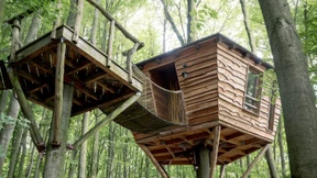 Ein Bett zwischen den Blättern