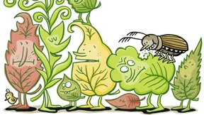 Farn mit Corona-Frisur