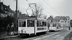Mainzer Freifahrten zum Tram-Jubiläum