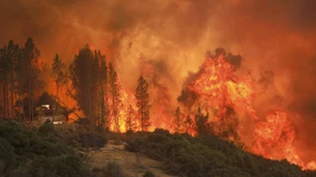 Waldbrände außer Kontrolle