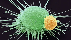 Die Selbstverteidigung gegen den Krebs