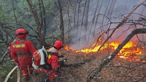 Feuerwehrleute kämpfen gegen Waldbrände