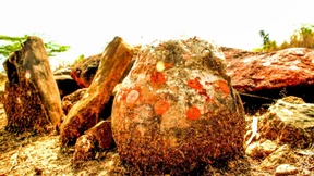 Göttlicher Stein entpuppt sich als Dinosaurier-Ei