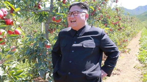 „Nur ein verängstigter Hund bellt lauter“