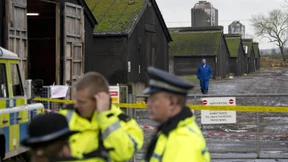 Die Vogelgrippe kommt näher 