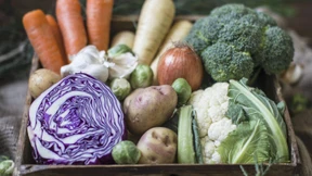 Der Wirsing und seine Brüder