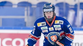 Die Löwen Frankfurt wollen sich beweisen