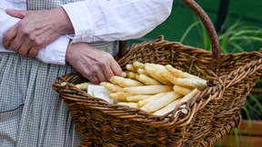 „Zu Ostern erwarten wir ausreichend Spargel für alle“