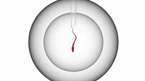 Was soll hier schon schiefgehen?