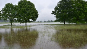 Frühling extrem mild und trotz Mai-Regens zu trocken