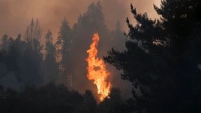 Mindestens 19 Tote nach Waldbränden in Chile 