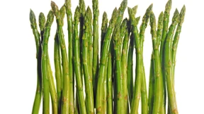 Leserbriefe vom 20. Juni 2023