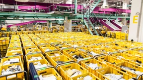 Behörden warnen vor Saatgut-Lieferungen aus China