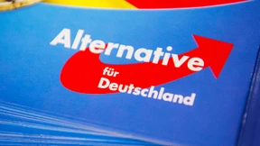 Prüffall AfD